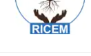 RICEM